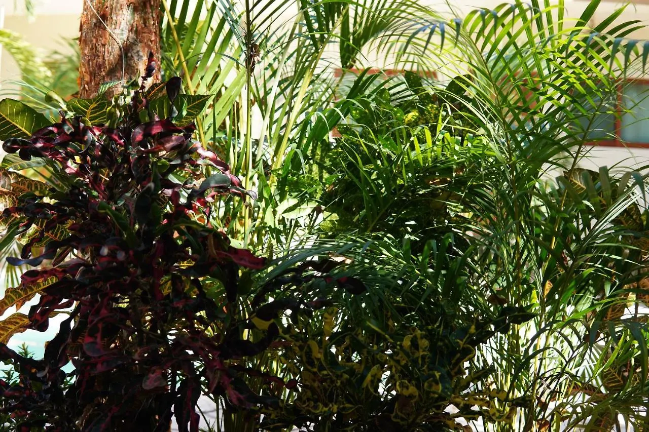 Aldea San Lam - Oasis Of Tulum Hotel 4*,  Mexico