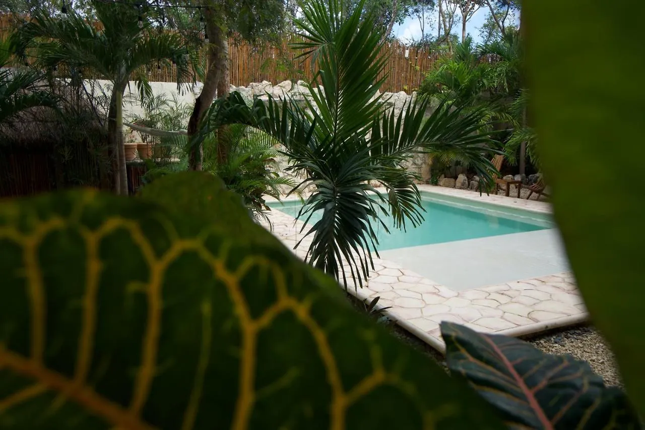 ****  Aldea San Lam - Oasis Of Tulum Hotel Mexico