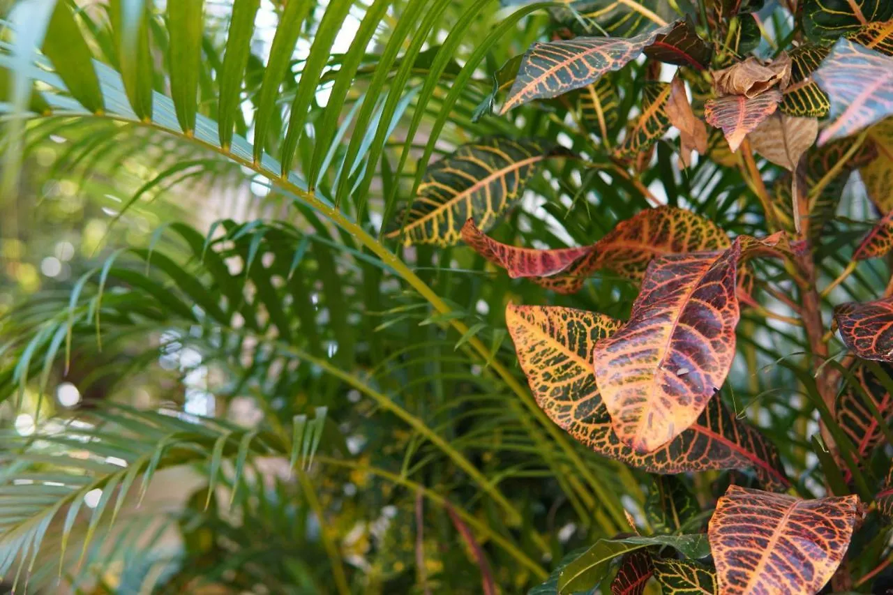 Aldea San Lam - Oasis Of Tulum Hotel